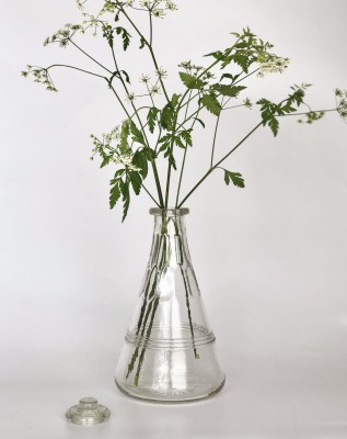 Stara karafka, wazon vintage