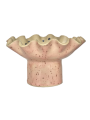 IMG_9954.png