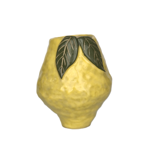 IMG_0456.png